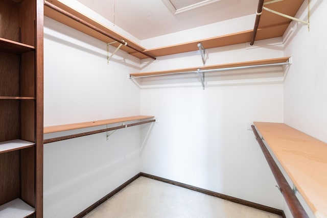 1352 Goldenrod Dr, Naperville, IL 60540 - view of walk in closet