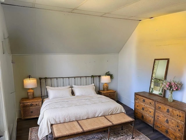 642 Angling Rd, Paw Paw, IL 61353 - bedroom featuring wood finished floors, lofted ceiling, and baseboards
