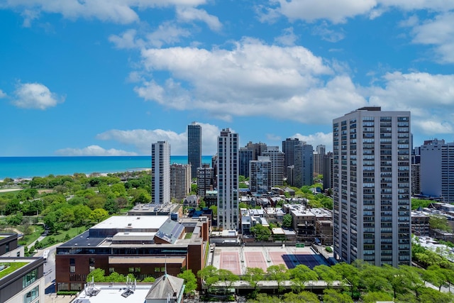 1560 N Sandburg Ter Unit 2506J, Chicago, IL 60610 - view of city with a large body of water