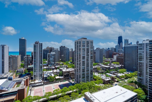1560 N Sandburg Ter Unit 2506J, Chicago, IL 60610 - view of city skyline with a large body of water