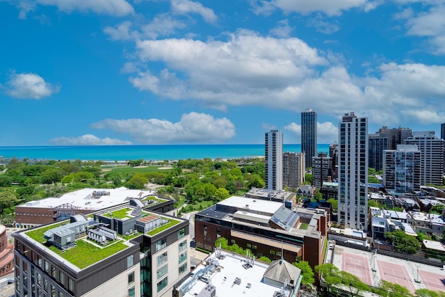 1560 N Sandburg Ter Unit 2506J, Chicago, IL 60610 - view of urban area with a large body of water