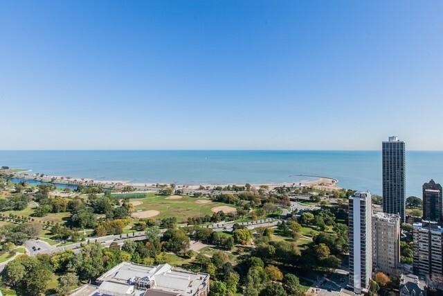 1560 N Sandburg Ter Unit 411J, Chicago, IL 60610 - aerial view of a large body of water