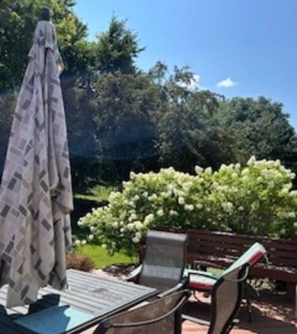 23105 N High Ridge Rd, Barrington, IL 60010 - view of patio / terrace featuring outdoor dining space and view of scattered trees