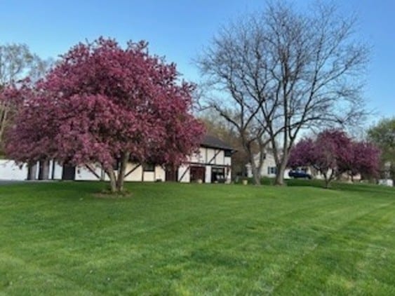 23105 N High Ridge Rd, Barrington, IL 60010 - view of grassy yard