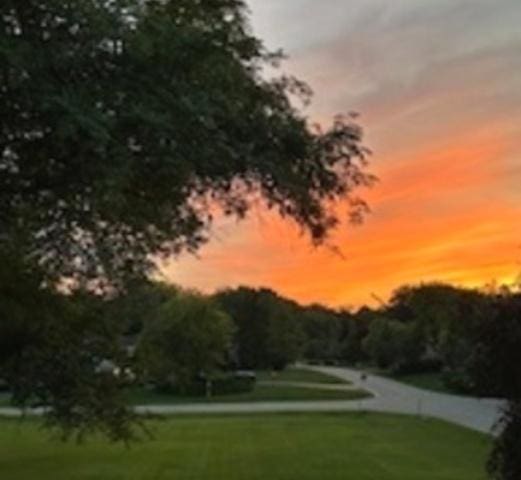 23105 N High Ridge Rd, Barrington, IL 60010 - view of home's community with a yard