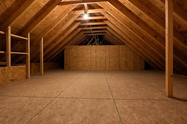 296 Regina Ln, Belvidere, IL 61008 - view of unfinished attic