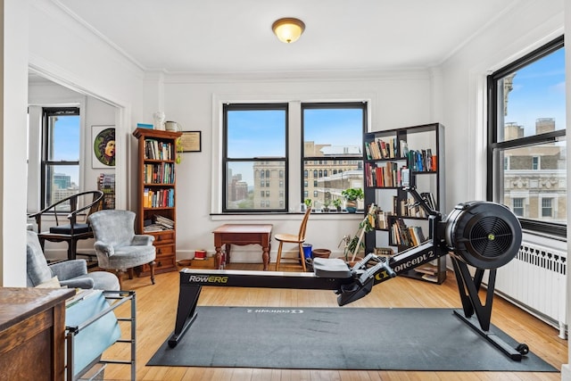 workout room with healthy amount of natural light, hardwood / wood-style flooring, and crown molding