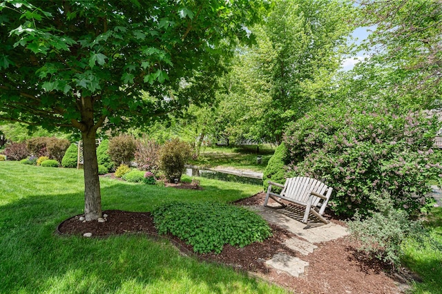24210 Apple Creek Ln, Plainfield, IL 60586 - view of grassy yard