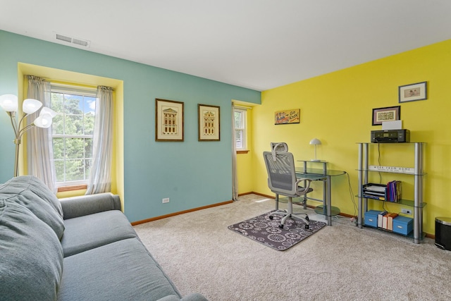 24210 Apple Creek Ln, Plainfield, IL 60586 - office area featuring carpet and baseboards