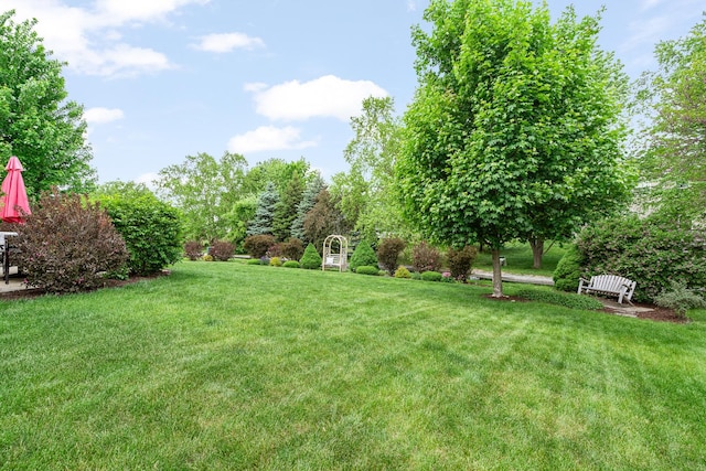 24210 Apple Creek Ln, Plainfield, IL 60586 - view of green lawn