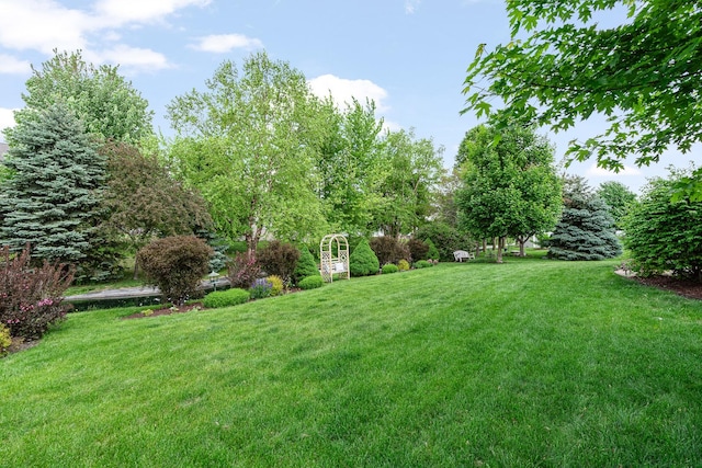 24210 Apple Creek Ln, Plainfield, IL 60586 - view of grassy yard