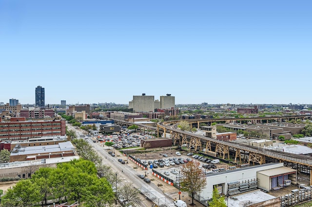 50 E 16th St Unit 1111, Chicago, IL 60616 - view of urban area