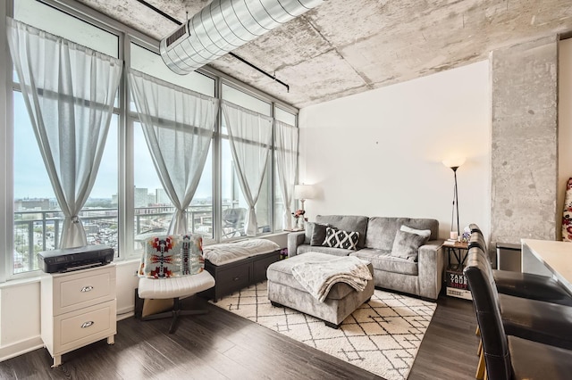 50 E 16th St Unit 1111, Chicago, IL 60616 - living area featuring wood finished floors and a view of city
