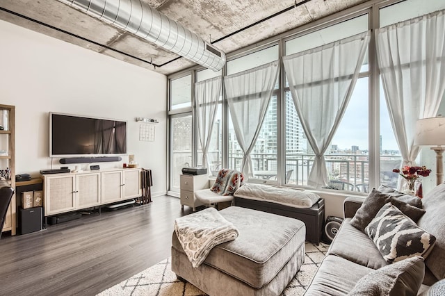 50 E 16th St Unit 1111, Chicago, IL 60616 - living area featuring wood finished floors and a view of city