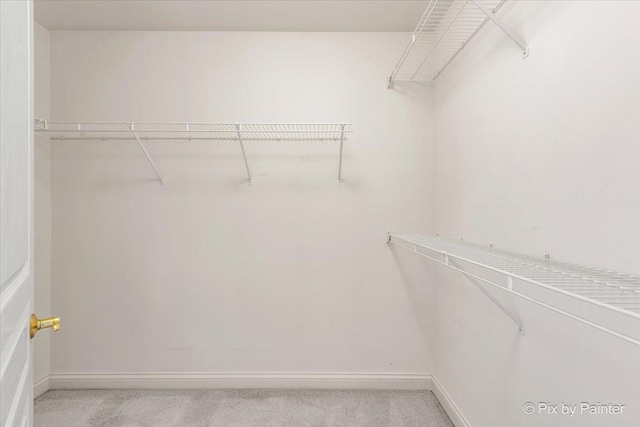 405 Lela Ln, Bartlett, IL 60103 - walk in closet featuring light carpet