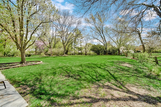view of green lawn
