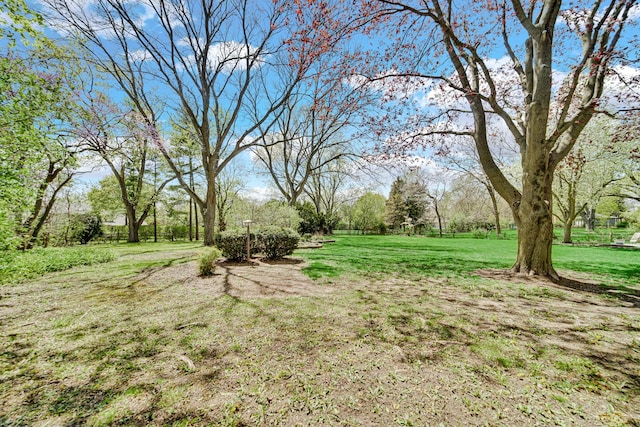 view of green lawn