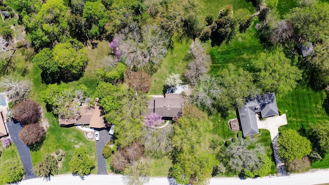 drone / aerial view