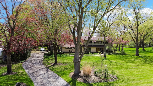 view of home's community with a lawn