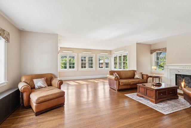 2141 Evans Rd, Flossmoor, IL 60422 - living room with hardwood / wood-style floors, healthy amount of natural light, a fireplace, and baseboards
