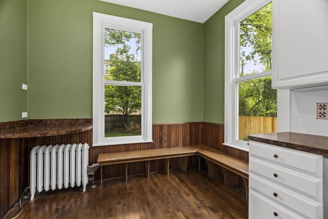 827 Madison St, Evanston, IL 60202 - mudroom featuring radiator heating unit, a wainscoted wall, dark wood finished floors, and wood walls