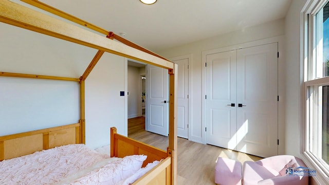 bedroom featuring wood finished floors and multiple windows