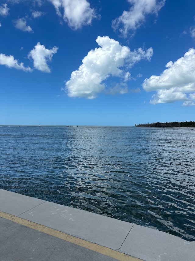 300 Ln Peninsula Blvd Unit 300-B, Naples, FL 34113 - photo 3