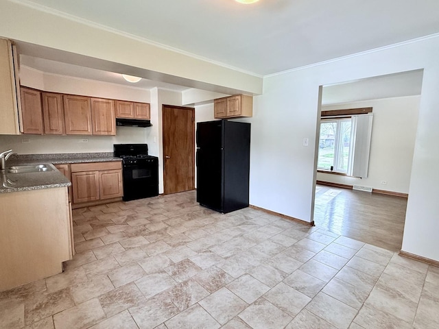 kitchen featuring black appliances, a sink, under cabinet range hood, ornamental molding, and baseboards