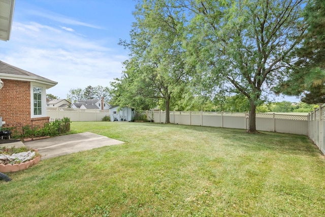 view of yard with a storage shed, an outdoor structure, and a patio