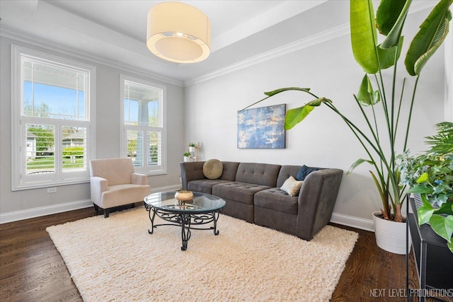 living area with baseboards, dark wood finished floors, a tray ceiling, and ornamental molding