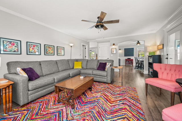 living room featuring ceiling fan, wood finished floors, and crown molding