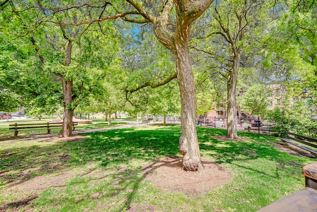 5656 S Dorchester Ave Unit B, Chicago, IL 60637 - view of yard
