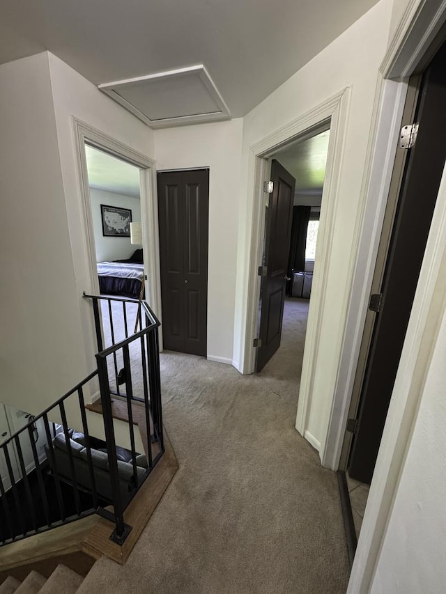hall with carpet, baseboards, and attic access