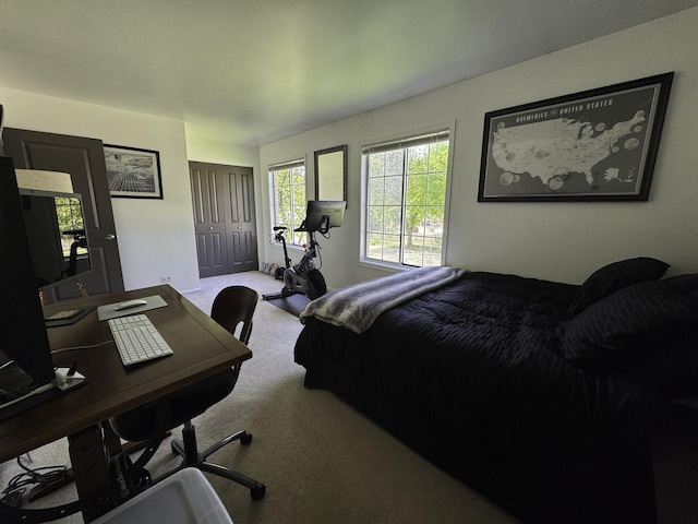 carpeted bedroom featuring an office area and a closet