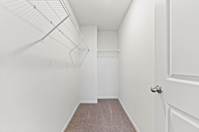 2344 Alison Ave, Pingree Grove, IL 60140 - spacious closet with carpet flooring