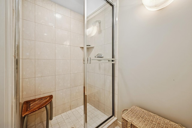 132 E Delaware Pl Unit 4901, Chicago, IL 60611 - bathroom with a shower stall