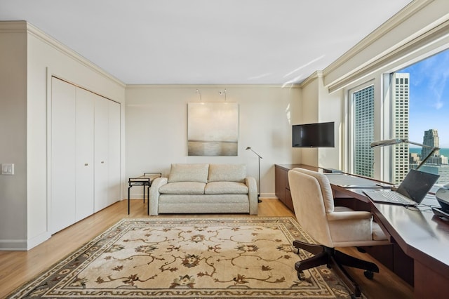 132 E Delaware Pl Unit 4901, Chicago, IL 60611 - home office with wood finished floors, crown molding, and baseboards