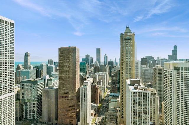 132 E Delaware Pl Unit 4901, Chicago, IL 60611 - city view