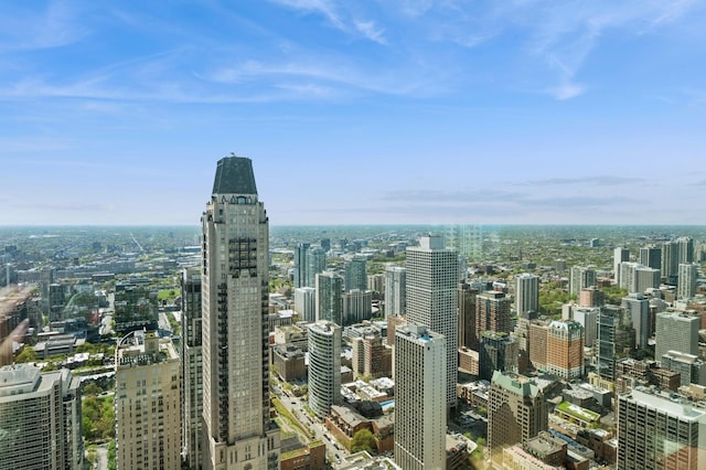 132 E Delaware Pl Unit 4901, Chicago, IL 60611 - city view