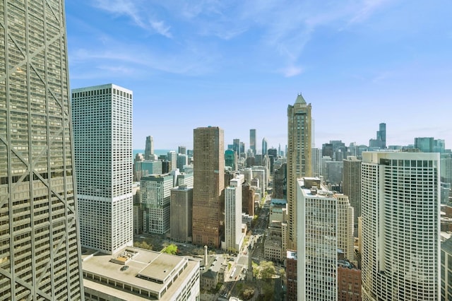 132 E Delaware Pl Unit 4901, Chicago, IL 60611 - city view