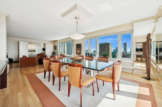 132 E Delaware Pl Unit 4901, Chicago, IL 60611 - dining area with light wood-style floors and a skyline view
