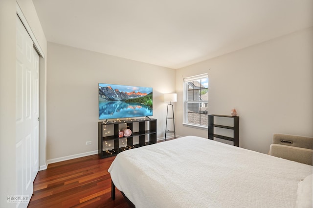 1254 Townes Cir, Aurora, IL 60502 - bedroom featuring wood finished floors and a closet