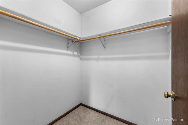 50 Southgate Crse, Saint Charles, IL 60174 - walk in closet featuring carpet flooring
