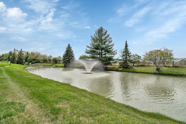 102 Iliad Dr, Tinley Park, IL 60477 - photo 38