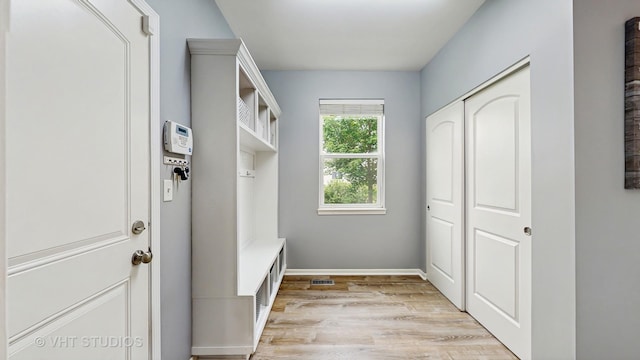 3756 Innesbrook Ct, Algonquin, IL 60102 - mudroom with light wood-type flooring and baseboards