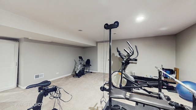 3756 Innesbrook Ct, Algonquin, IL 60102 - workout room with carpet and baseboards