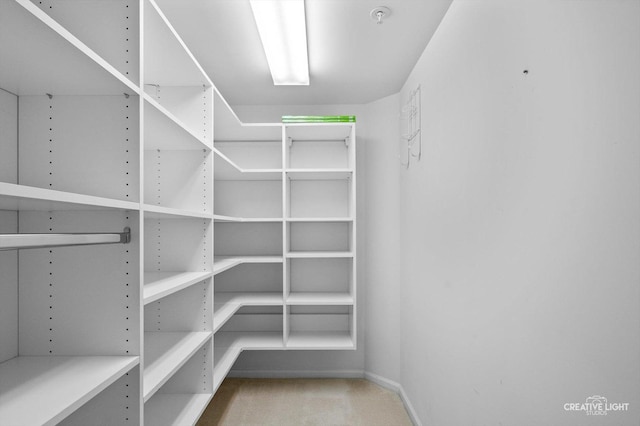 100 N Gary Ave Unit 308, Wheaton, IL 60187 - spacious closet with carpet floors