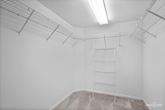 100 N Gary Ave Unit 308, Wheaton, IL 60187 - walk in closet with carpet