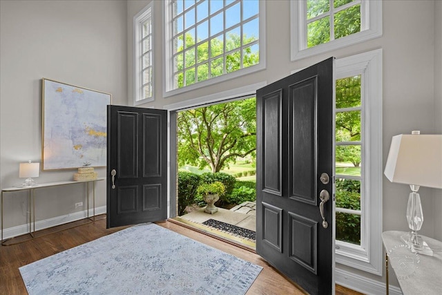 4N749 Old Farm Rd, Saint Charles, IL 60175 - entryway with a towering ceiling, wood finished floors, and baseboards