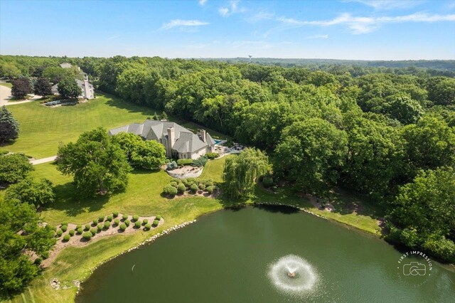 4N749 Old Farm Rd, Saint Charles, IL 60175 - view of subject property featuring a nearby body of water and a forest